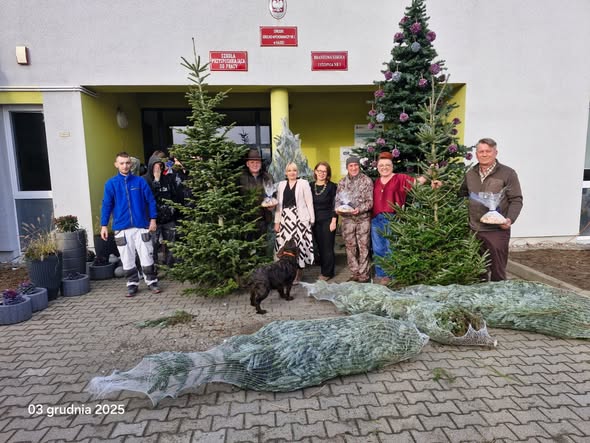 Choinki pachnące lasem – świąteczny gest przyjaciół Polskiego Związku Łowieckiego – Zarządu Okręgowego w Kaliszu