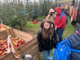 Lekcje w terenie – nauka przez doświadczanie